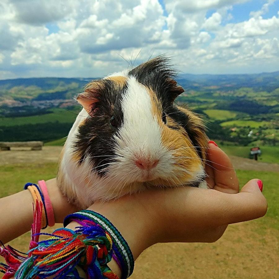 فندق سوكوروفي  Mirante Pedra Bela Vista المظهر الخارجي الصورة